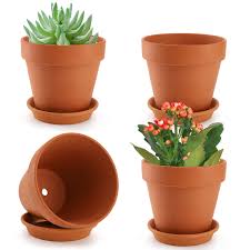 Terra Cotta Planter